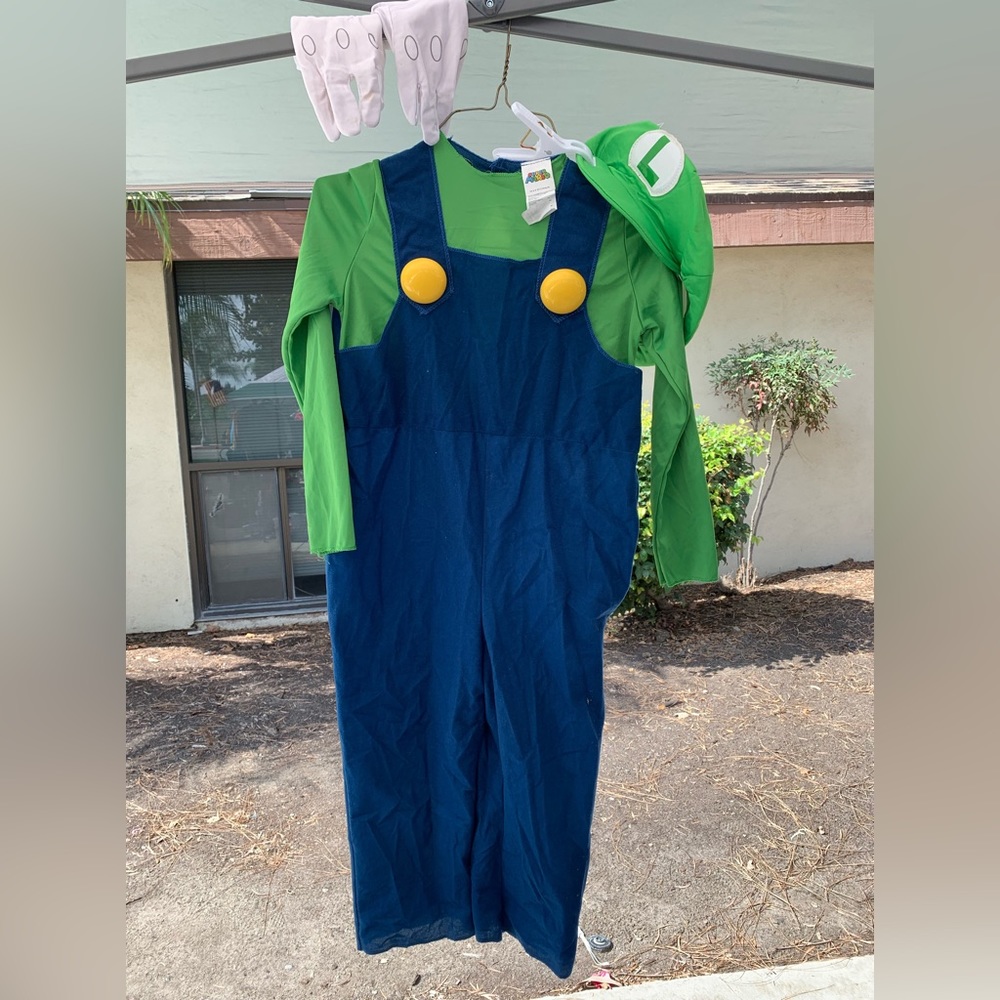 Luigi Costume from Mario Bro